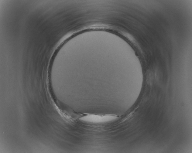 X0000080761229200701122021