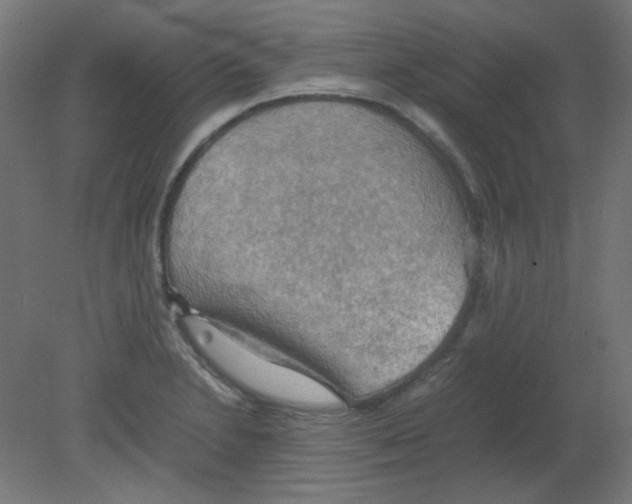 X0000080761230200701122021