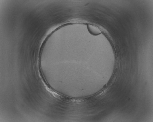 X0000080761231200701122021