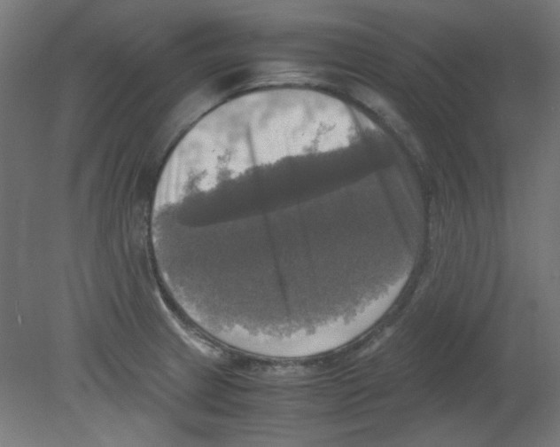 X0000080761233200701122021