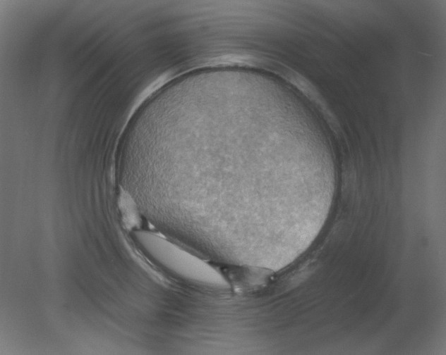 X0000080761234200701122021