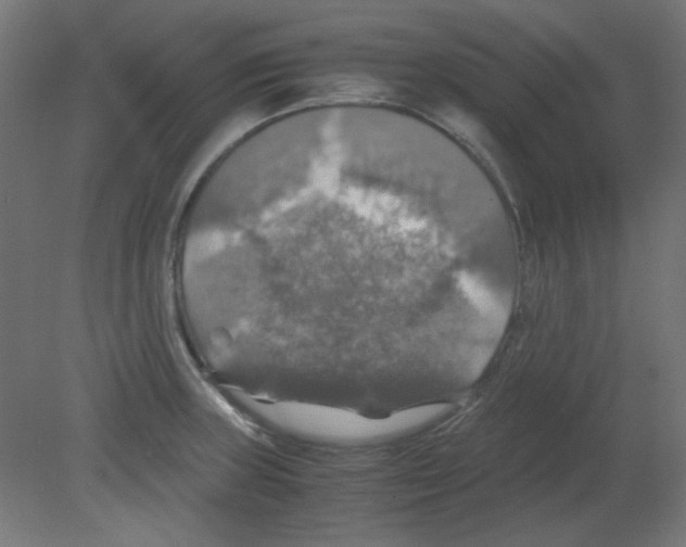 X0000080761235200701122021