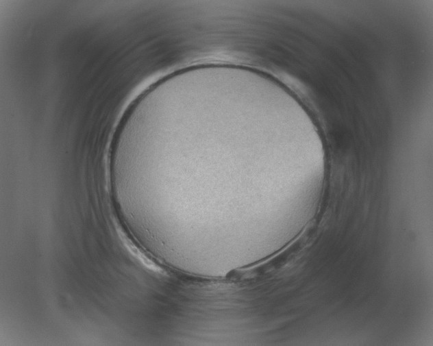 X0000080761238200701122021