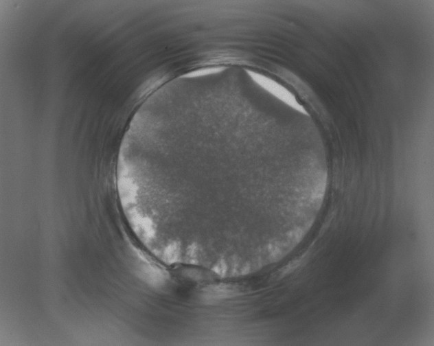 X0000080761241200701122021