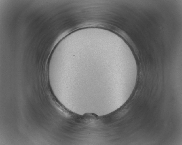 X0000080761242200701122021