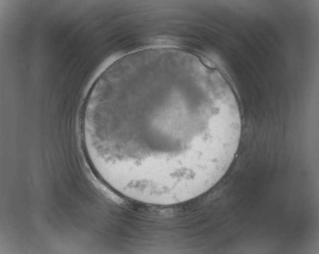 X0000080761243200701122021