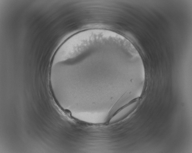 X0000080761244200701122021