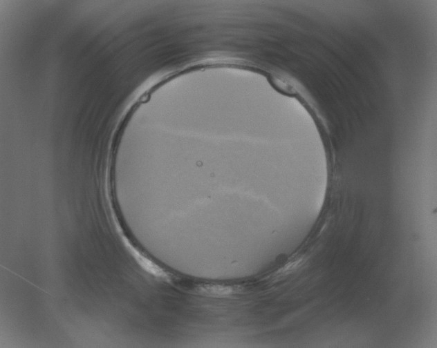 X0000080761245200701122021