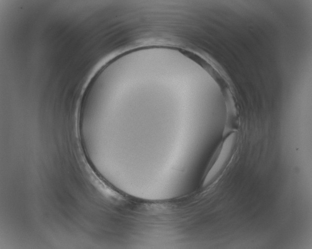 X0000080761246200701122021