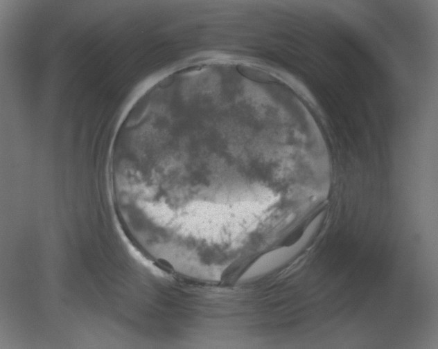 X0000080761247200701122021