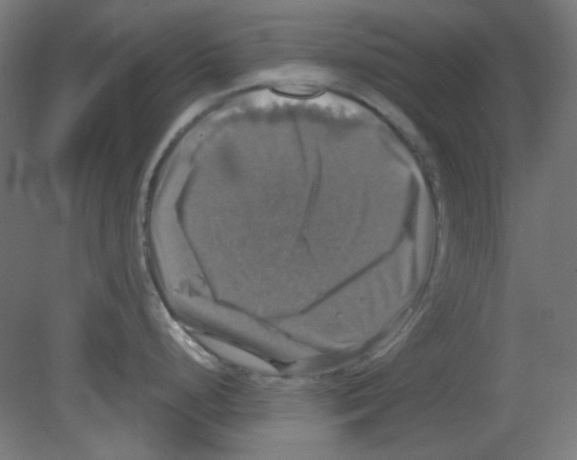 X0000080761248200701122021