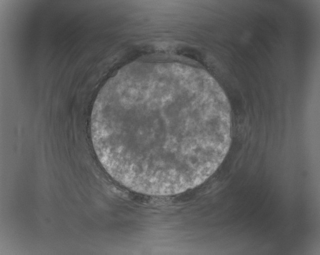 X0000080761249200701122020