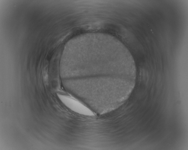 X0000080761250200701122020