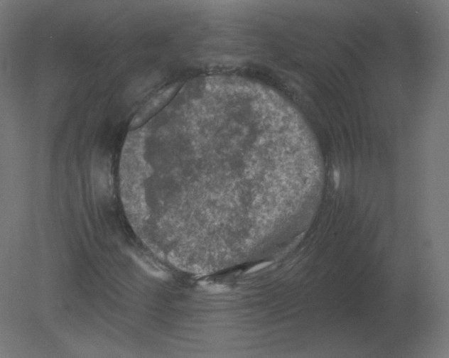 X0000080761252200701122020