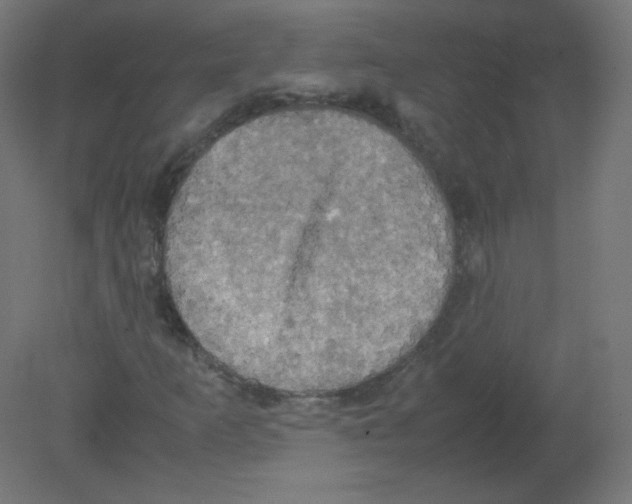 X0000080761253200701122020