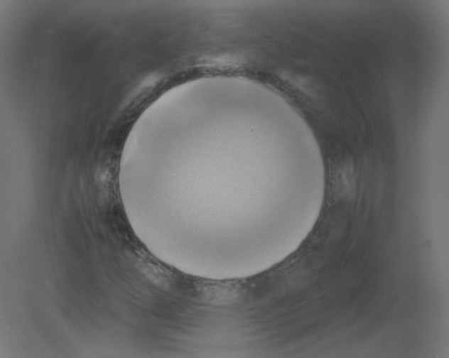 X0000080761254200701122020