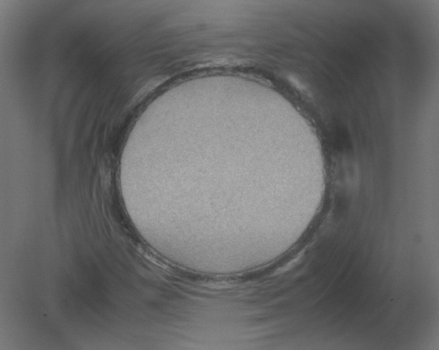 X0000080761257200701122020