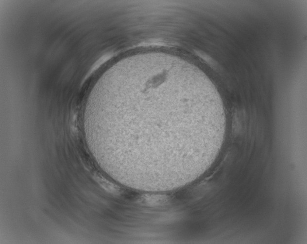 X0000080761258200701122020