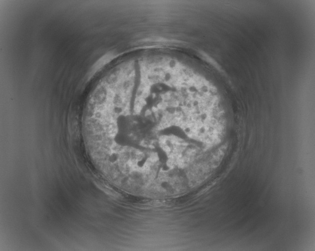 X0000080761259200701122020