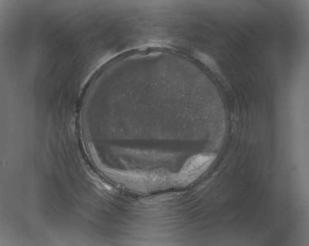 X0000080761260200701122020