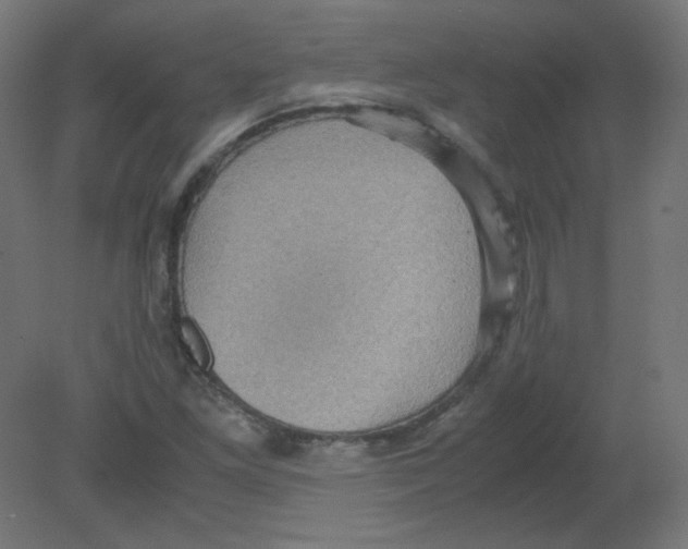 X0000080761261200701122020