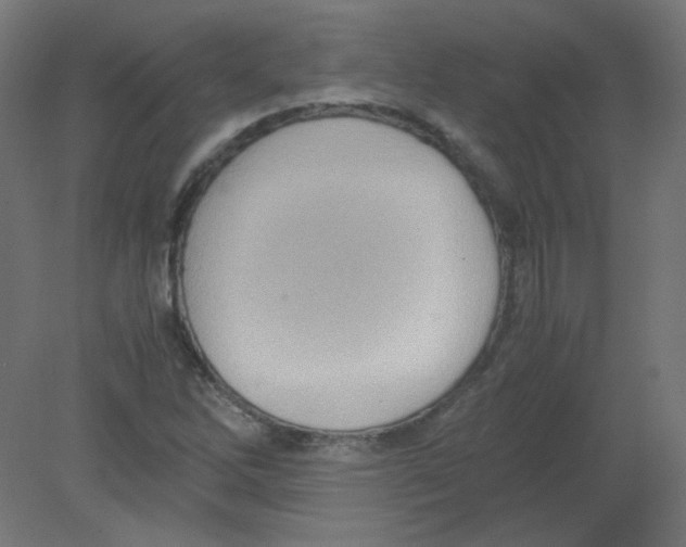 X0000080761262200701122020