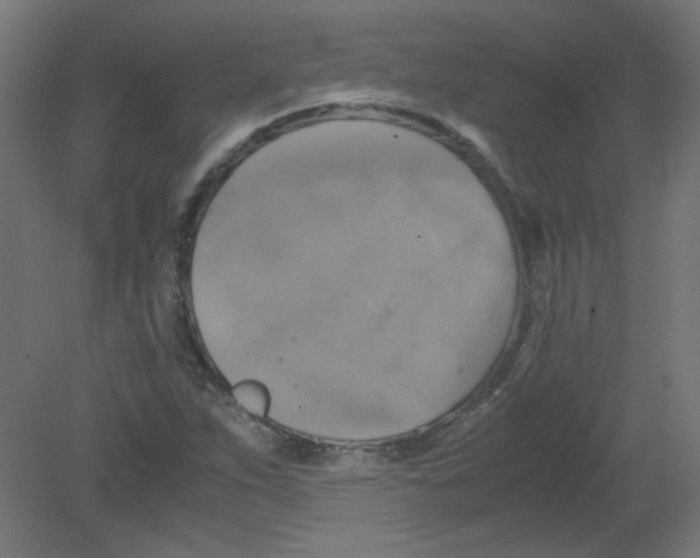 X0000080761263200701122020