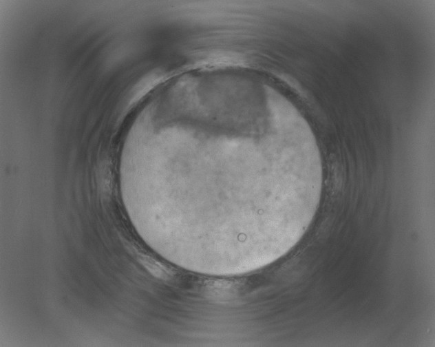 X0000080761266200701122020