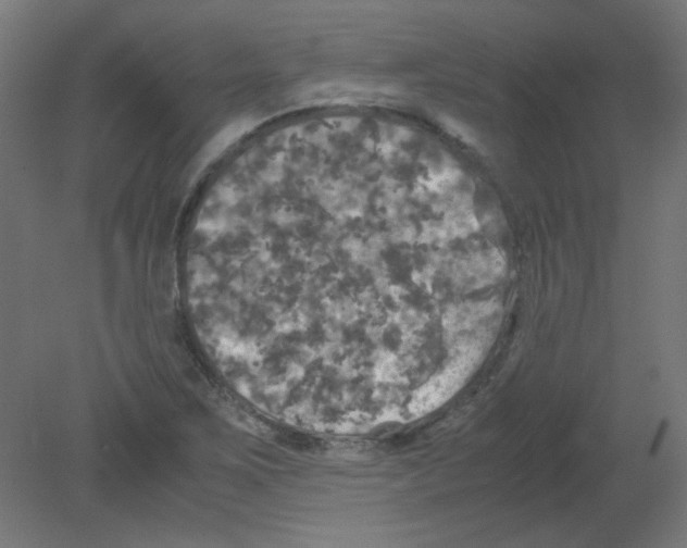 X0000080761267200701122020