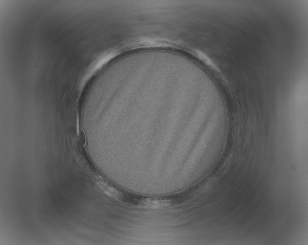 X0000080761269200701122020