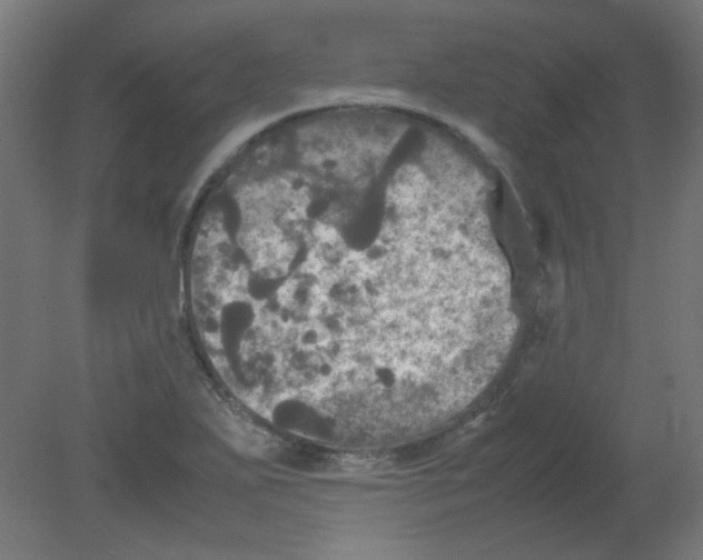 X0000080761271200701122020