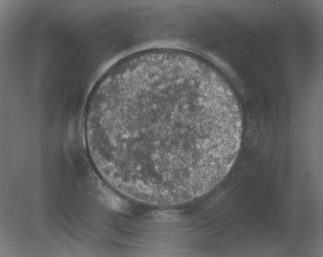 X0000080761272200701122020