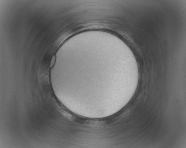 X0000080761273200701122020