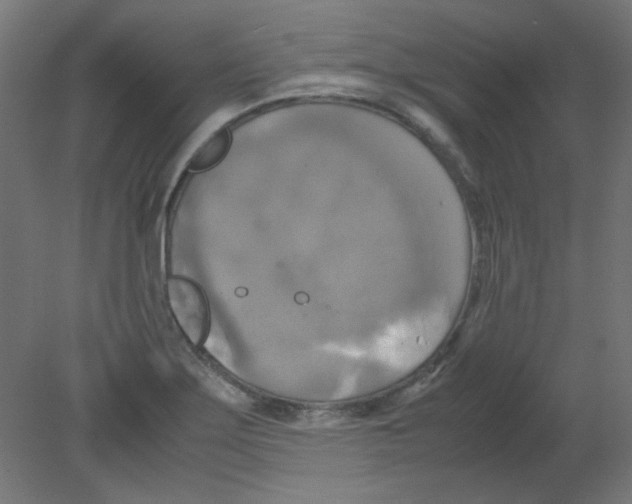 X0000080761275200701122020