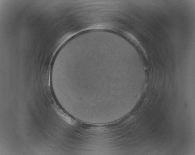 X0000080761276200701122020