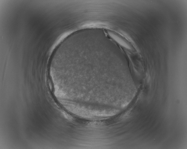 X0000080761277200701122020