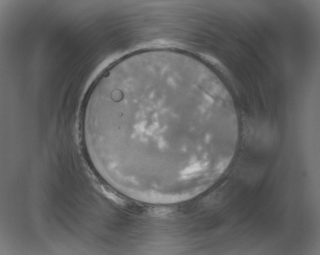 X0000080761278200701122020