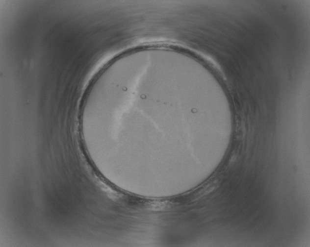 X0000080761279200701122020