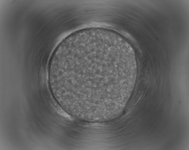 X0000080761280200701122020