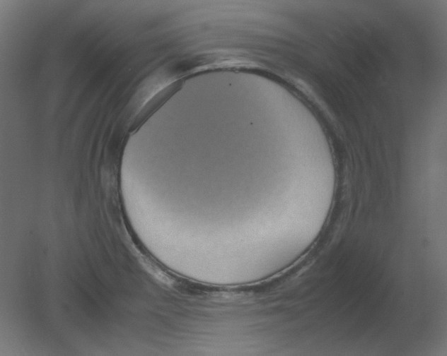 X0000080761281200701122020