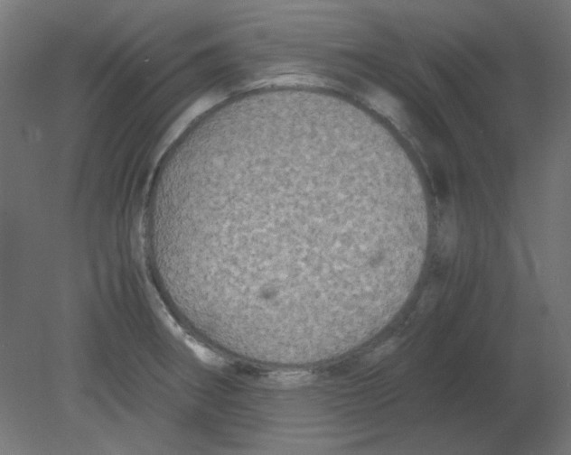 X0000080761282200701122019