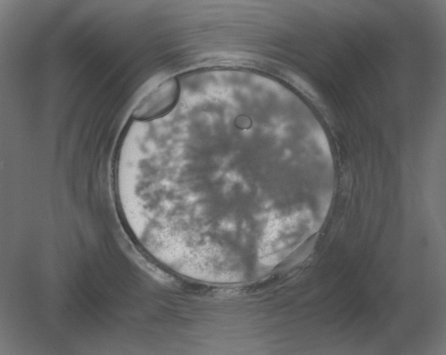 X0000080761283200701122019