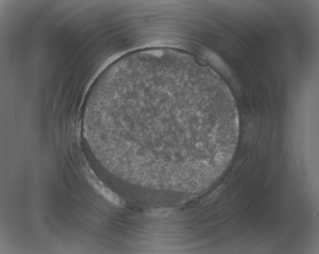 X0000080761284200701122019