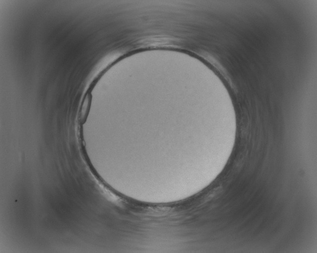 X0000080761285200701122019