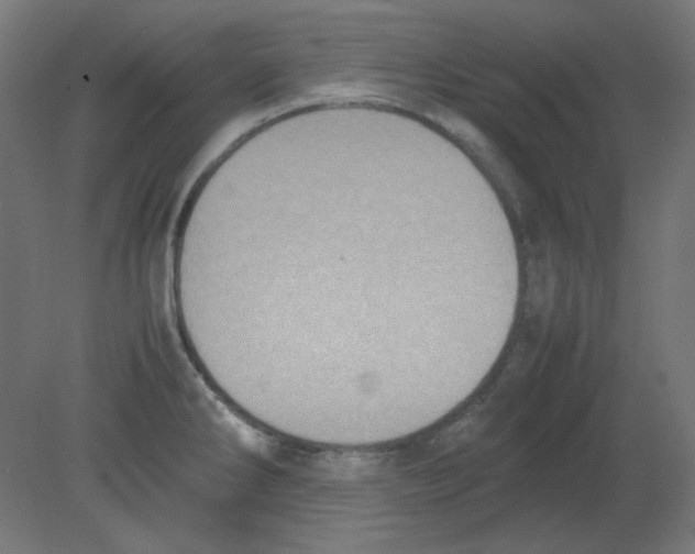 X0000080761286200701122019