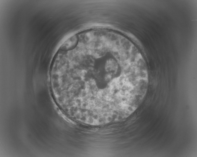 X0000080761287200701122019