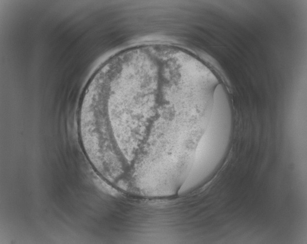 X0000080761288200701122019