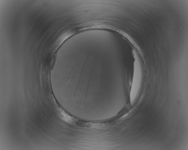 X0000080761289200701122019