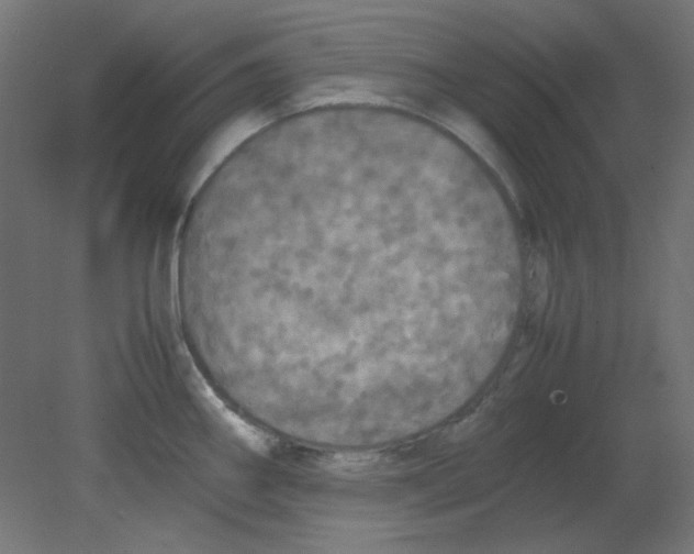 X0000080761290200701122019