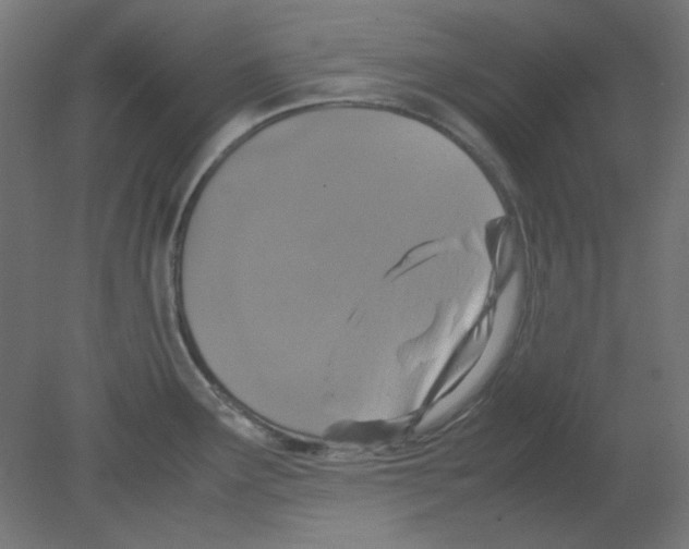 X0000080761291200701122019